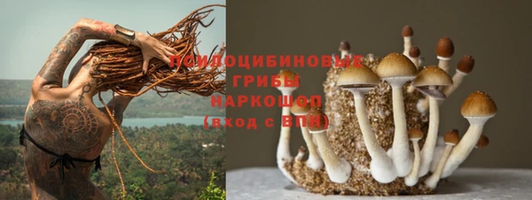 сатива Билибино