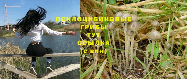 ALPHA-PVP Осташков