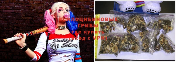 spice Осинники