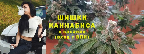 spice Осинники
