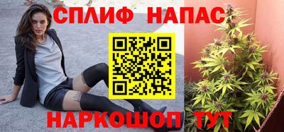 ECSTASY Можга
