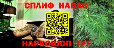 гидра Мариинск