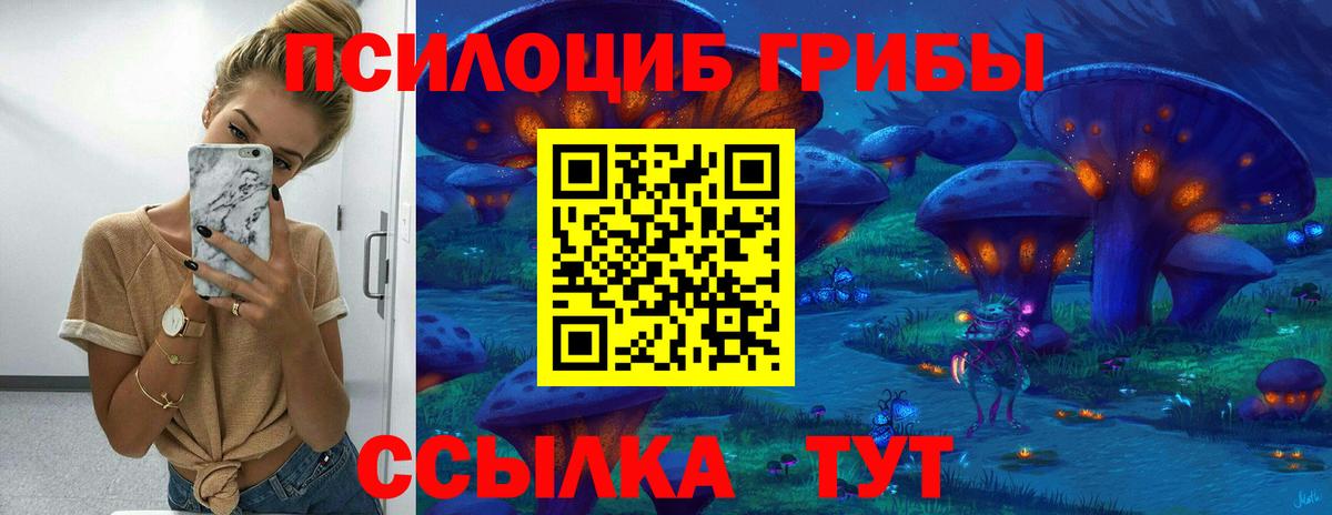 Омск  Псилоцибиновые грибы Psilocybe  Вход с VPN 