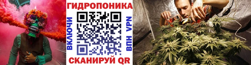 mega как войти Омск Шишки марихуана тримм
